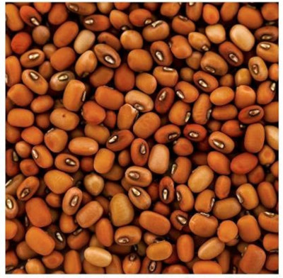 தட்டைப்பயிறு / காராமணி - ThattaPayiru / Kaaramani -  Red Cow Peas