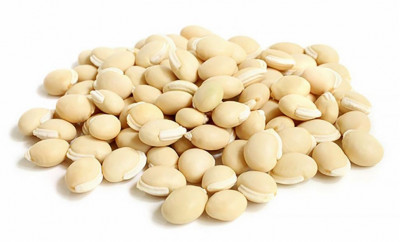 வெள்ளை மொச்சை / White Mochai - White Bean