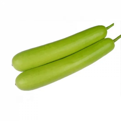 சுரைக்காய் / Surakkai - Bottle Gourd