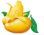 இயற்கை உணவுவகைகள் மற்றும் காய்கறிகள்